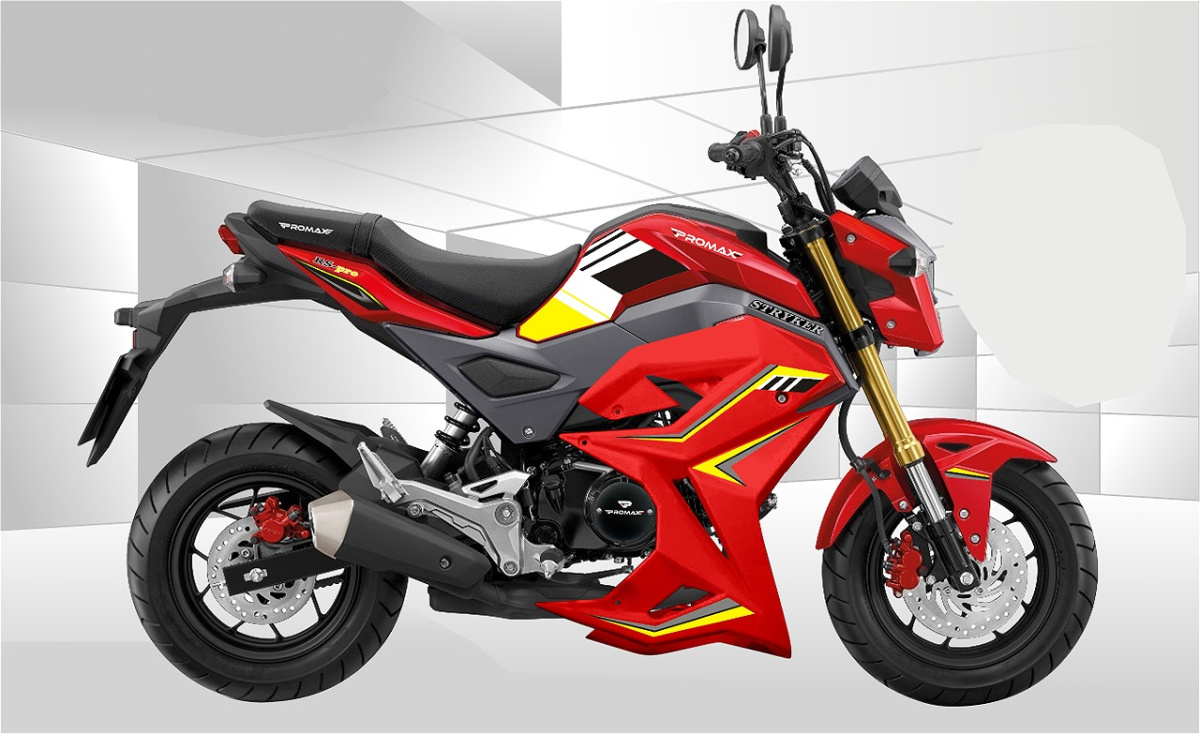 Мотоцикл PROMAX STRYKER 150(49) 2.0